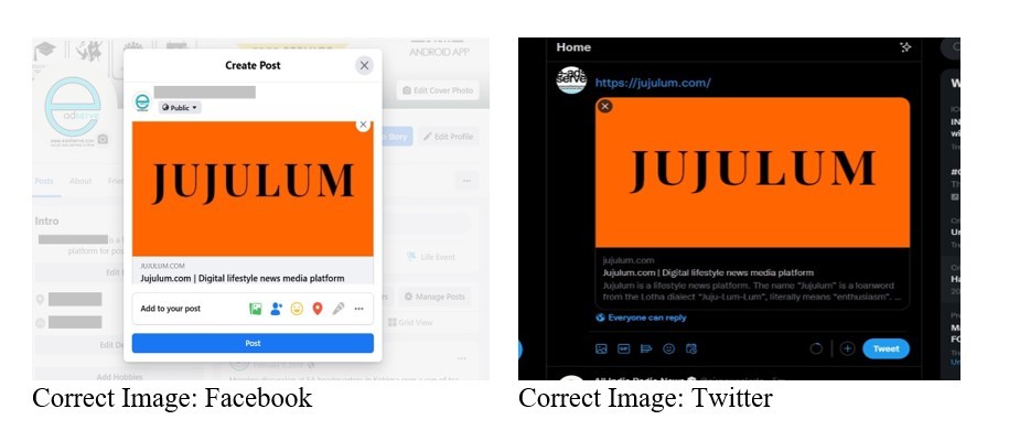 Incorrect WordPress Homepage Image Displayed on Facebook and Twitter