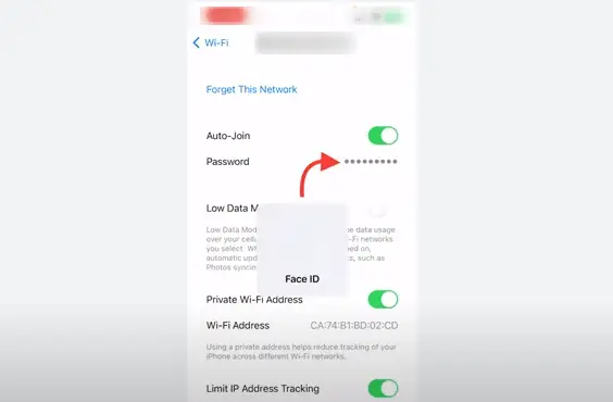find Wi-Fi Password on iPhone