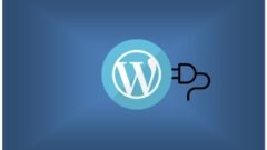 wordpress plugin update