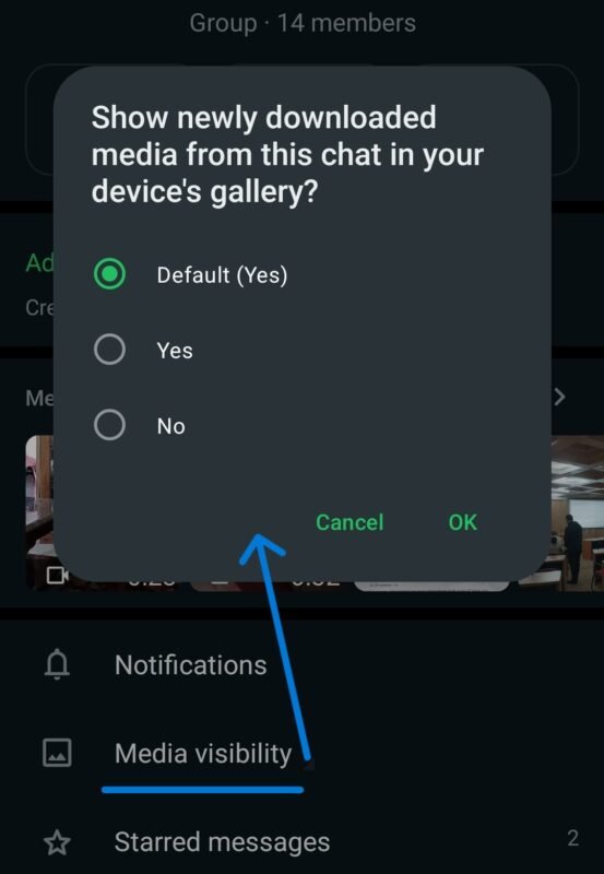 Set Media Visibility in WhatsApp Group Chats