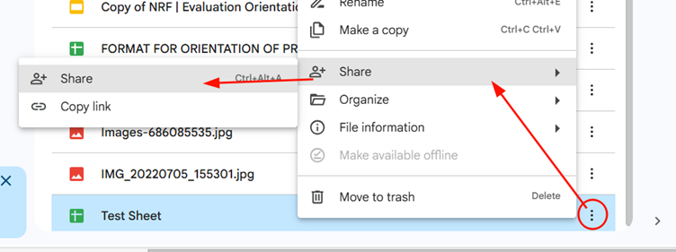 share file on Google Drive